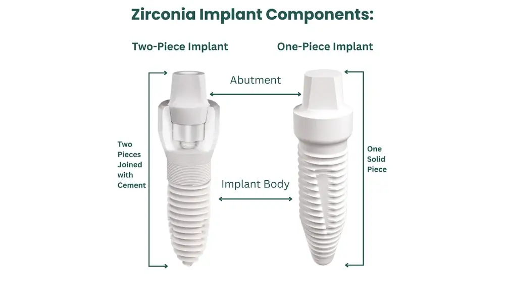 Anatomy of a zirconia teeth implant both with 2-parts and 1-part